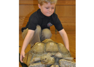Elementary Gallery kid holding a tortoise
