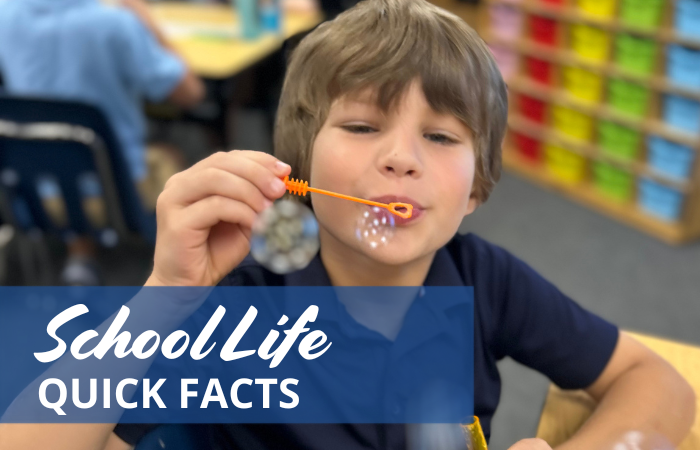 School Life quick facts picture