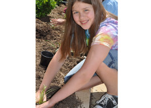 Elementary Gallery student planting a plant